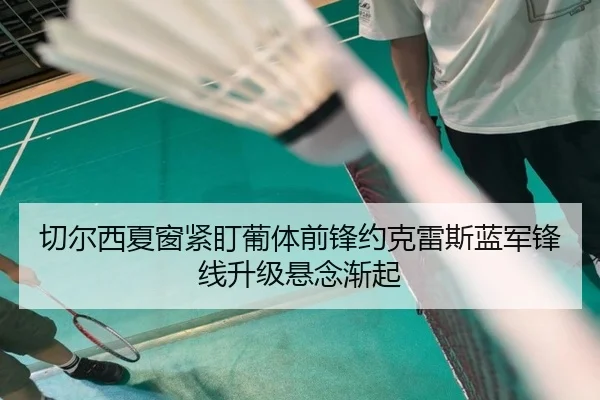 切尔西夏窗紧盯葡体前锋约克雷斯蓝军锋线升级悬念渐起